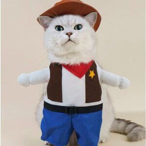 Cat cowboy costume